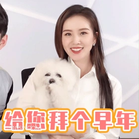 给您拜个早年 刘诗诗 刘诗施 明星 演员 出品人 打招呼