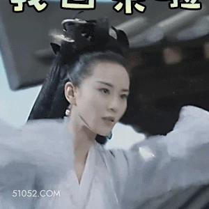 我回来啦 刘诗诗 刘诗施 明星 演员 出品人 回来了