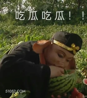 吃瓜 西游记 影视追剧 搞笑表情 猪八戒