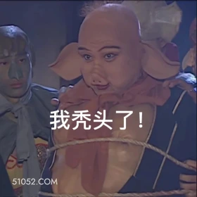 我秃头了 西游记 影视追剧 搞笑表情 猪八戒