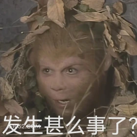 发生什么事了 西游记 影视追剧 搞笑表情 四大名著