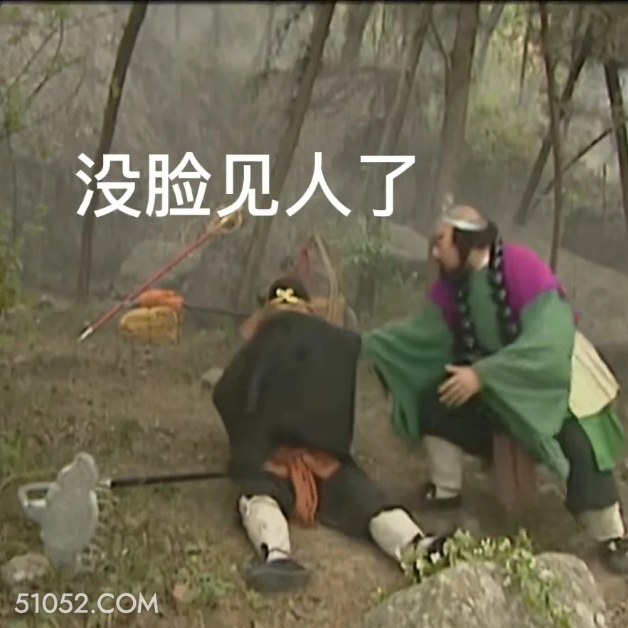 没脸见人 西游记 影视追剧 搞笑表情 猪八戒