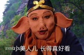 小美人，长得真好看 西游记 影视追剧 搞笑表情 猪八戒