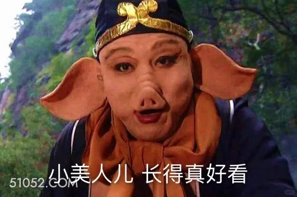 小美人，长得真好看 西游记 影视追剧 搞笑表情 猪八戒