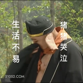 生活不易猪猪哭泣 西游记 影视追剧 搞笑表情 猪八戒