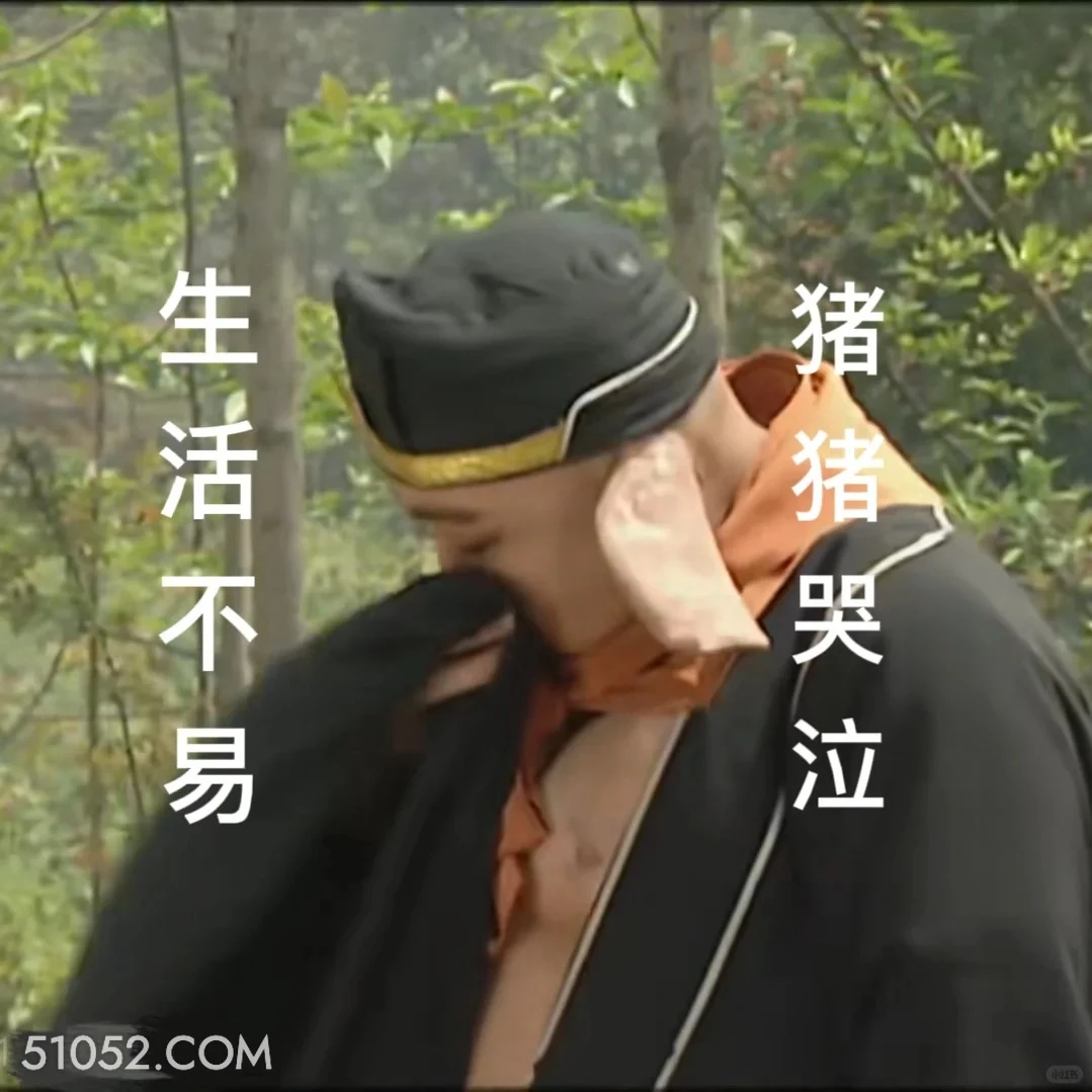 生活不易猪猪哭泣 西游记 影视追剧 搞笑表情 猪八戒