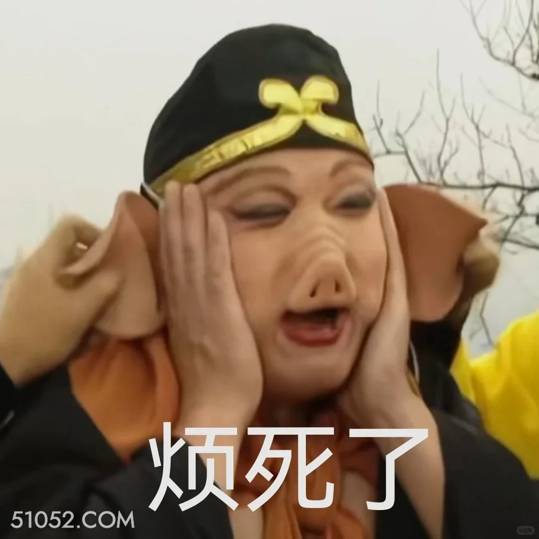 烦死了 西游记 影视追剧 搞笑表情 四大名著