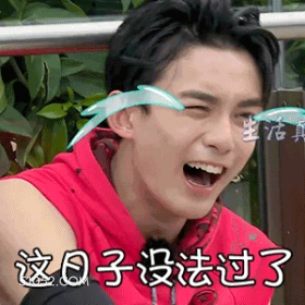 这日子没法过了 吴磊 明星 演员 欲哭无泪