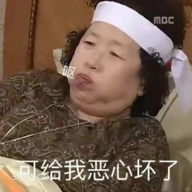 可把我恶心坏了 搞笑一家人 韩剧 罗文姬 搞笑表情