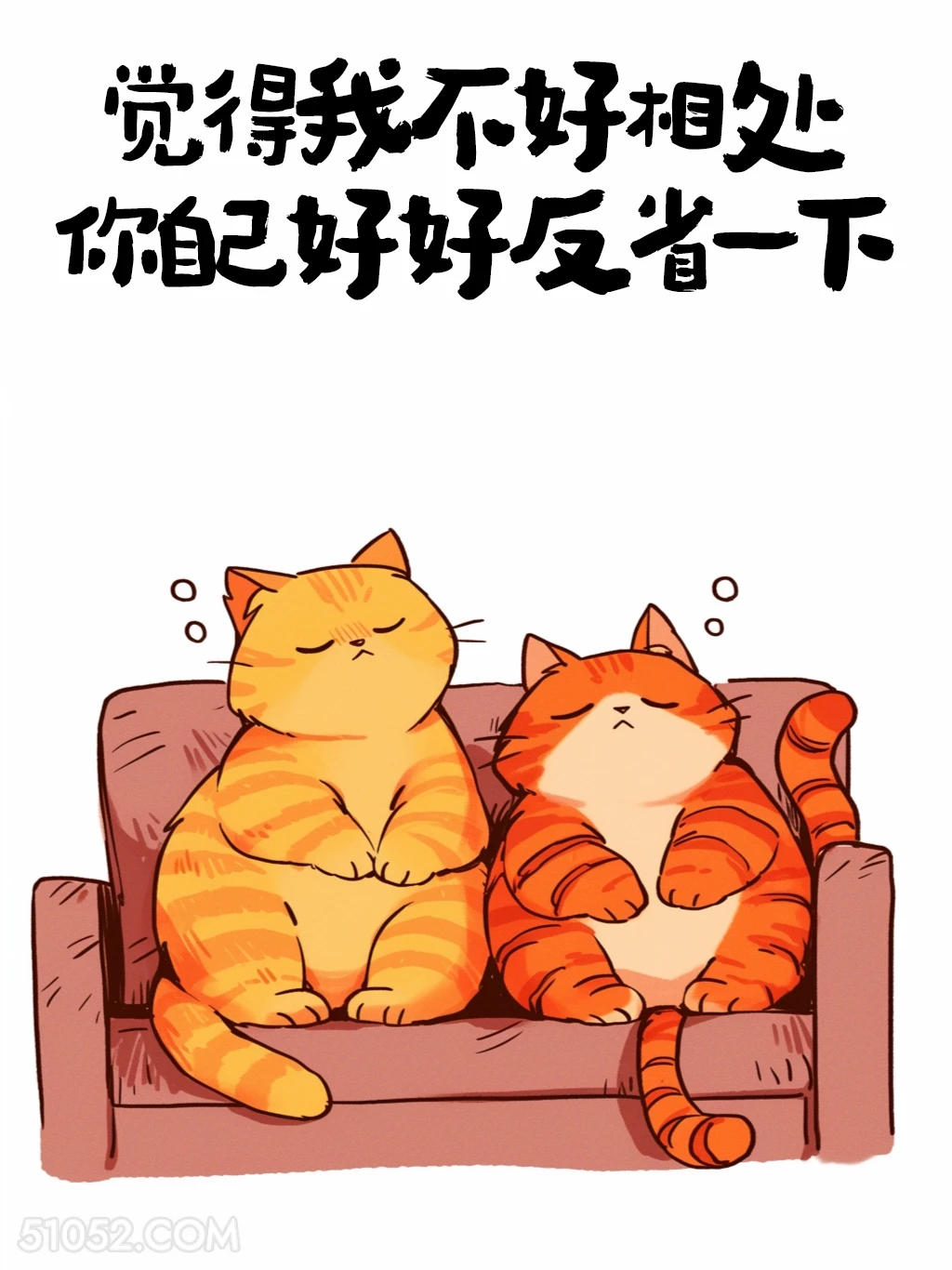 觉得我不好相处你自己好好反省下 猫猫 怼人文案 搞笑文案