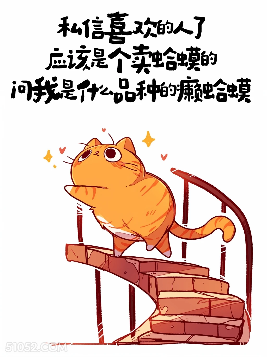 喜欢的人应该是卖蛤蟆的，问我是什么品种的癞蛤蟆 猫猫 发朋友圈 搞笑文案