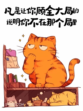 凡是让你顾全大局的说明你不在那个局里 猫猫 歪理 搞笑文案
