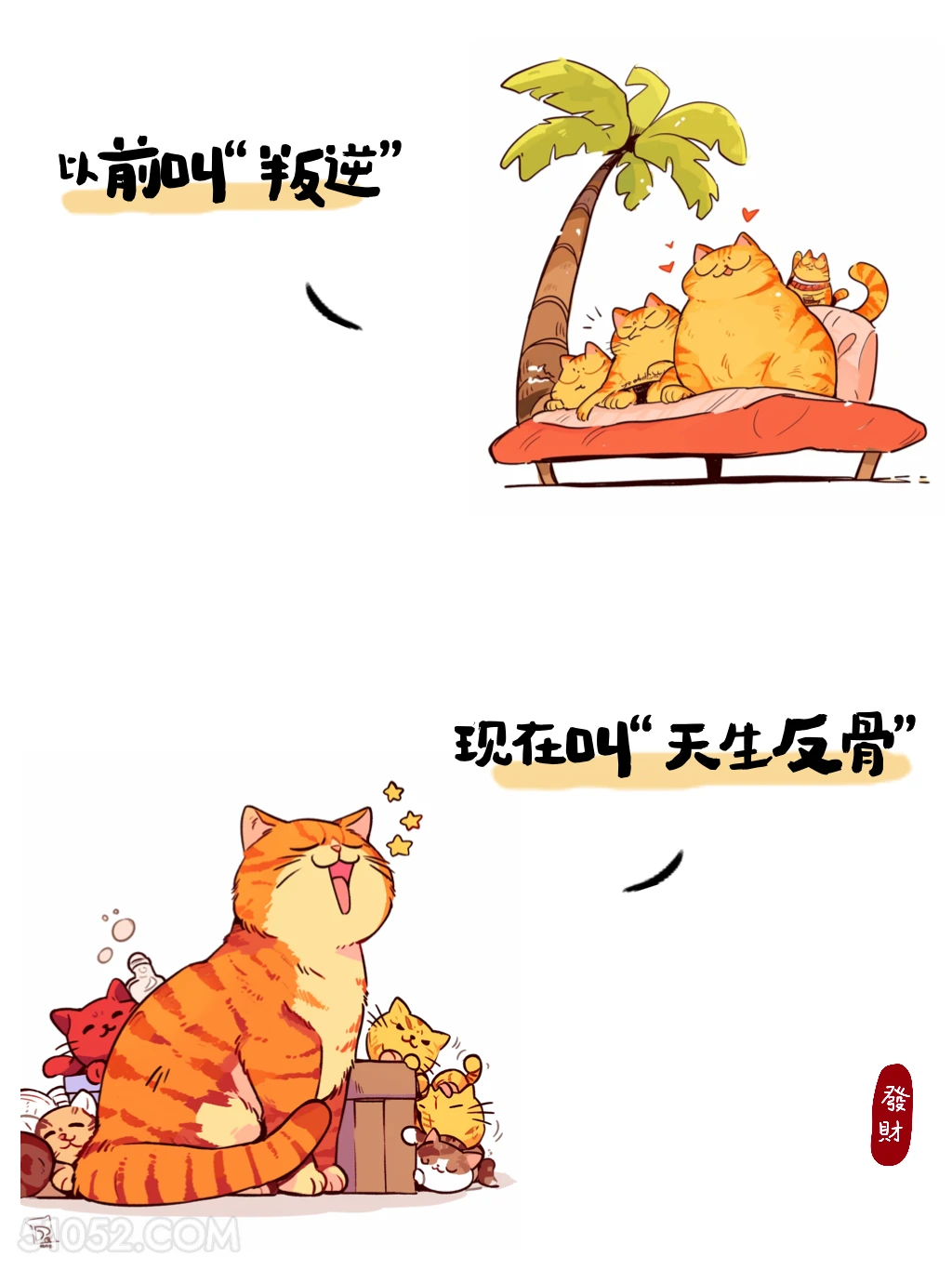 以前叫反骨，现在叫天生反骨 猫猫 热梗 搞笑文案