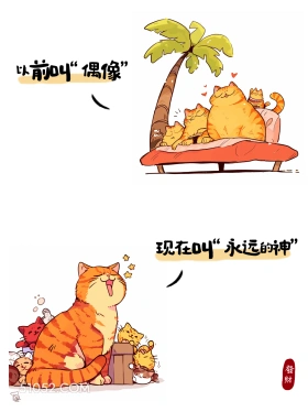 以前叫偶像，现在叫永远的神 猫猫 热梗 搞笑文案