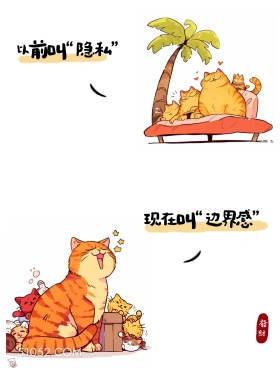 以前叫隐私，现在叫边界感 猫猫 热梗 搞笑文案