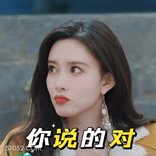 你说的对 孟子义 明星 演员 认同