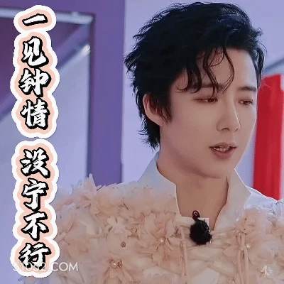 一见钟情没宁不行 刘宇宁 歌手 演员 口号