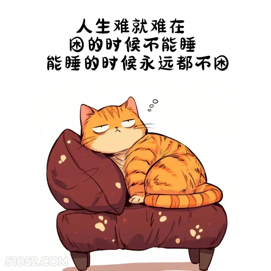 人生难在困的时候不能睡，能睡得时候不困 猫猫 熬夜 发朋友圈 搞笑文案