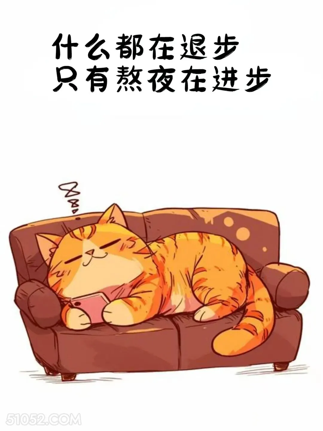 什么都在退步，除了熬夜 猫猫 熬夜 发朋友圈 搞笑文案