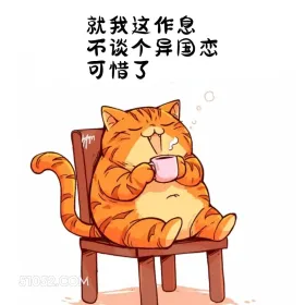 就我这作息不谈个异国恋可惜了 猫猫 熬夜 发朋友圈 搞笑文案