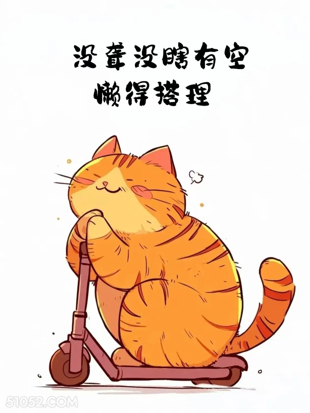 懒得搭理 猫猫 摆烂 发朋友圈 搞笑文案