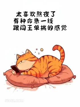 有种命悬一线跟阎王单挑的感觉 猫猫 熬夜 发朋友圈 搞笑文案