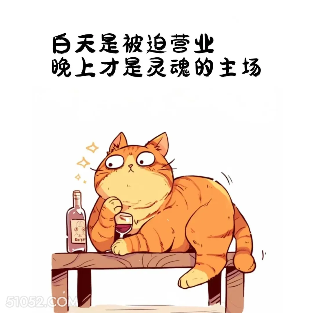 白天被迫营业，晚上才是灵魂主场 猫猫 熬夜 发朋友圈 搞笑文案