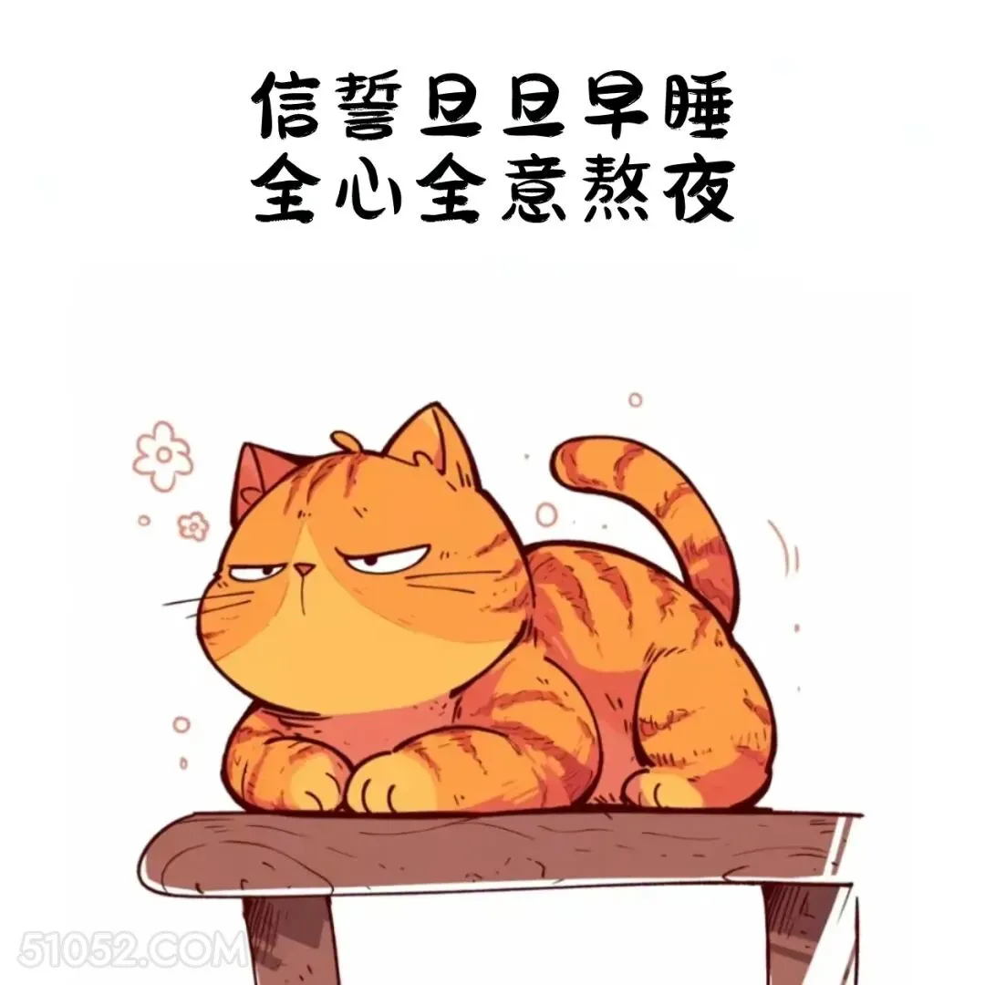 信誓旦旦早睡，全心全意熬夜 猫猫 熬夜 发朋友圈 搞笑文案