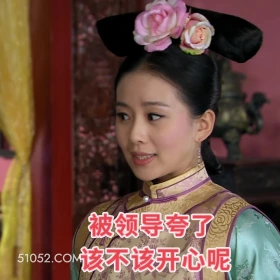 被领导夸了 步步惊心 影视追剧 搞笑表情 刘诗诗 吴奇隆