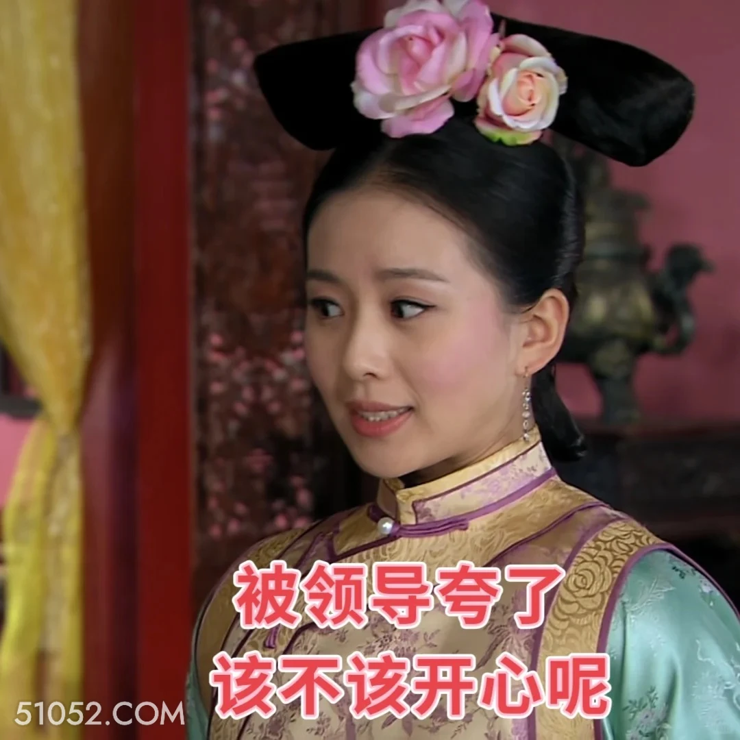 被领导夸了 步步惊心 影视追剧 搞笑表情 刘诗诗 吴奇隆