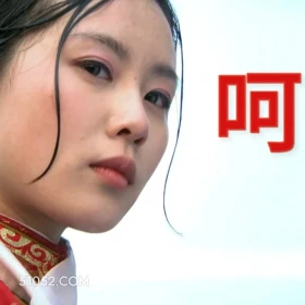 步步惊心 步步惊心 影视追剧 搞笑表情 刘诗诗 吴奇隆