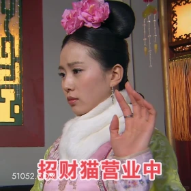 招财猫营业中 步步惊心 影视追剧 搞笑表情 刘诗诗 吴奇隆