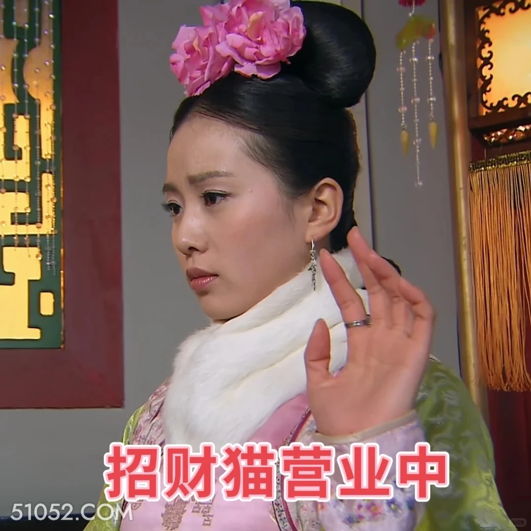 招财猫营业中 步步惊心 影视追剧 搞笑表情 刘诗诗 吴奇隆