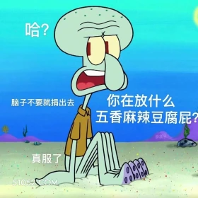 你在放什么五香麻辣豆腐 海绵宝宝 派大星 章鱼哥 蟹老板 搞笑表情