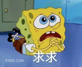 求求 海绵宝宝 动画片 搞笑表情 黄色海绵 派大星