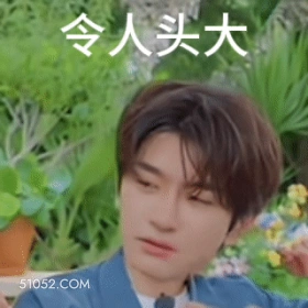 令人头大 林一 明星 演员 头大