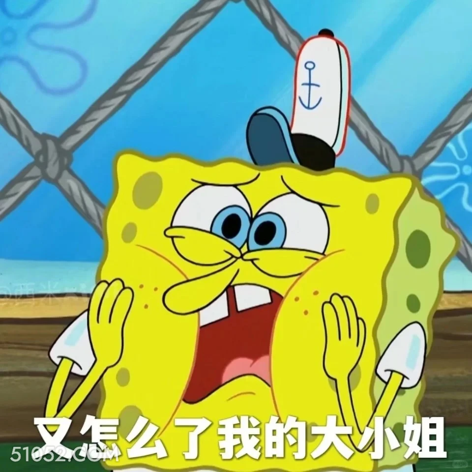 又怎么了我的大小姐 海绵宝宝 派大星 章鱼哥 蟹老板 搞笑表情