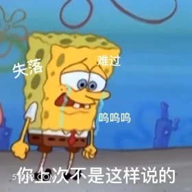 你上次不是这样说的 海绵宝宝 派大星 章鱼哥 蟹老板 搞笑表情