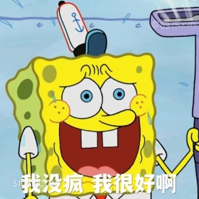 我没疯,我很好 海绵宝宝 派大星 章鱼哥 动画片 搞笑表情