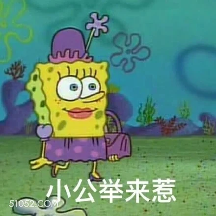 小公主来了 海绵宝宝 派大星 章鱼哥 动画片 搞笑表情