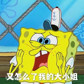 又怎么了我的大小姐 海绵宝宝 派大星 章鱼哥 动画片 搞笑表情