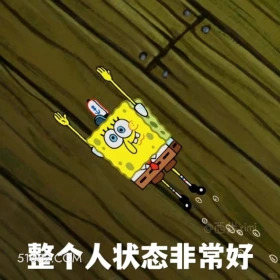 整个人状态非常好 海绵宝宝 派大星 章鱼哥 动画片 搞笑表情