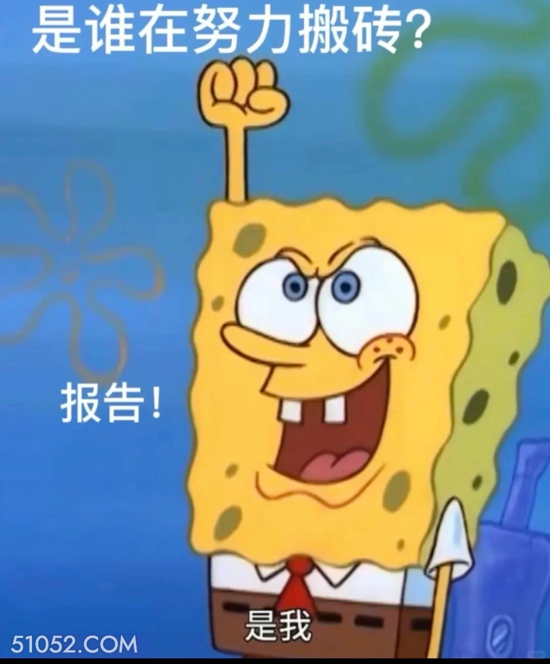 是谁在努力搬砖，是我 海绵宝宝 派大星 章鱼哥 动画片 搞笑表情