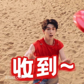 收到 张凌赫 张家玮 明星 演员 接住