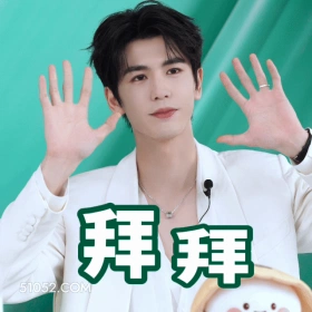拜拜 张凌赫 张家玮 明星 演员 挥手