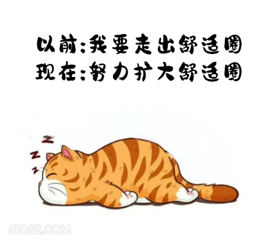 以前：走出舒适圈 现在：扩大舒适圈 猫猫 摆烂 笑死了 搞笑文案 发朋友圈