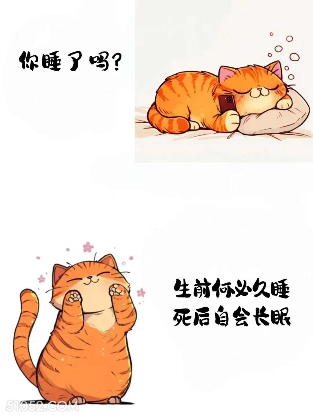 生前何必久睡，死后必定长眠 猫猫 神回复 搞笑文案