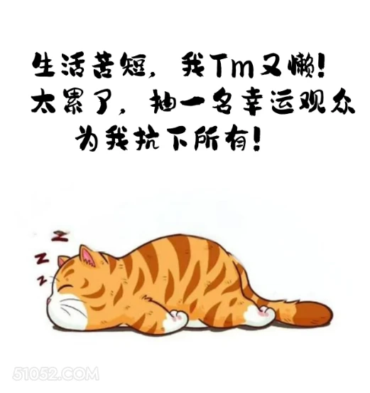 太累了，抽一名幸运观众为我抗下所有 猫猫 摆烂 笑死了 搞笑文案 发朋友圈