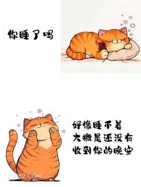 睡不着，大概是还没收到你的晚安 猫猫 神回复 搞笑文案