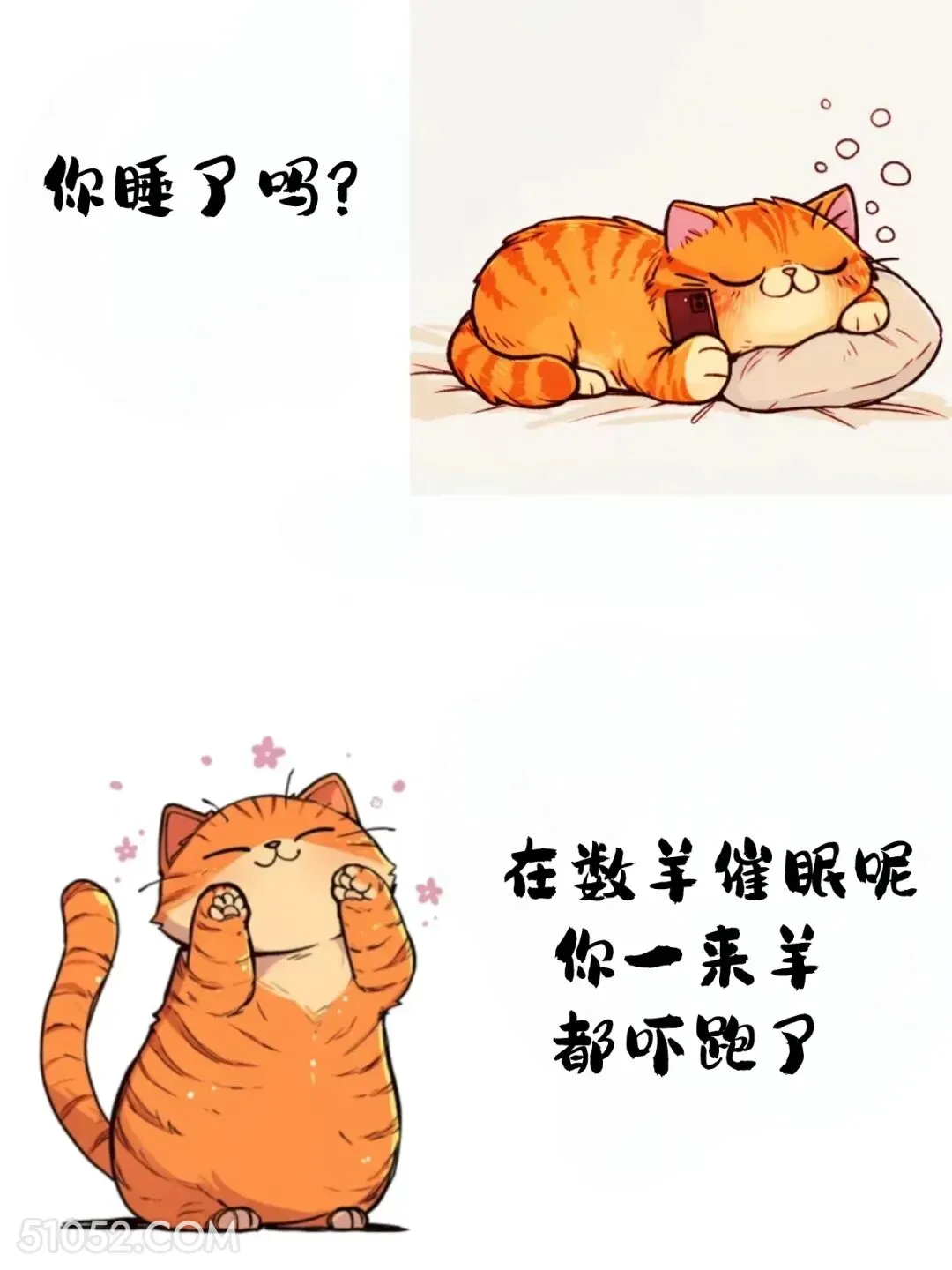 在数羊催眠，你一来羊都跑了 猫猫 神回复 搞笑文案